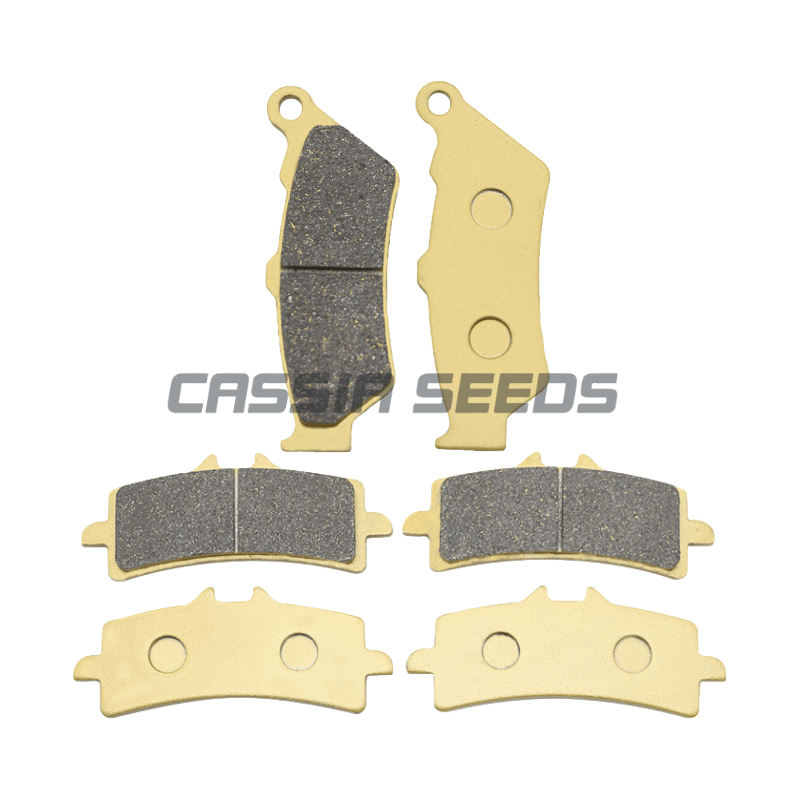 MOTORCYCLE FRONT AND REAR BRAK - Carbon Ceramic Motorcycle Brake Rotor recension och pris
