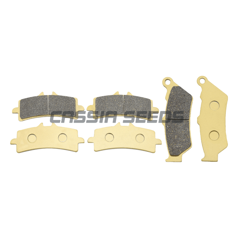 MOTORCYCLE FRONT AND REAR BRAK - Carbon Ceramic Motorcycle Brake Rotor recension och pris